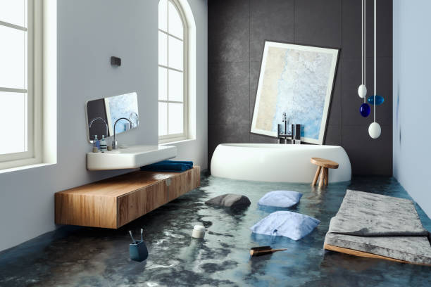 Best Carpet water damage restoration  in Gibsonburg, OH