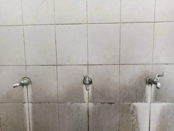 Best Residential water damage restoration  in Gibsonburg, OH