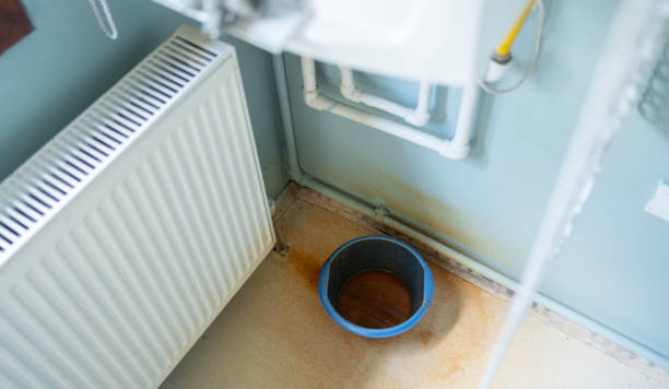 Best Basement water damage restoration  in Gibsonburg, OH