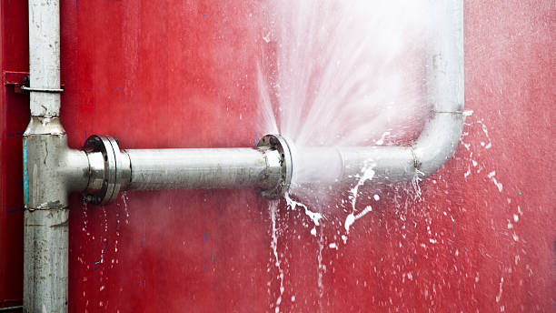 Best Professional water damage repair  in Gibsonburg, OH